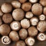 Mushroom: Chestnut
