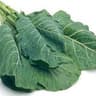Collard Greens