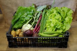Image of £11.25 Vegetable Box