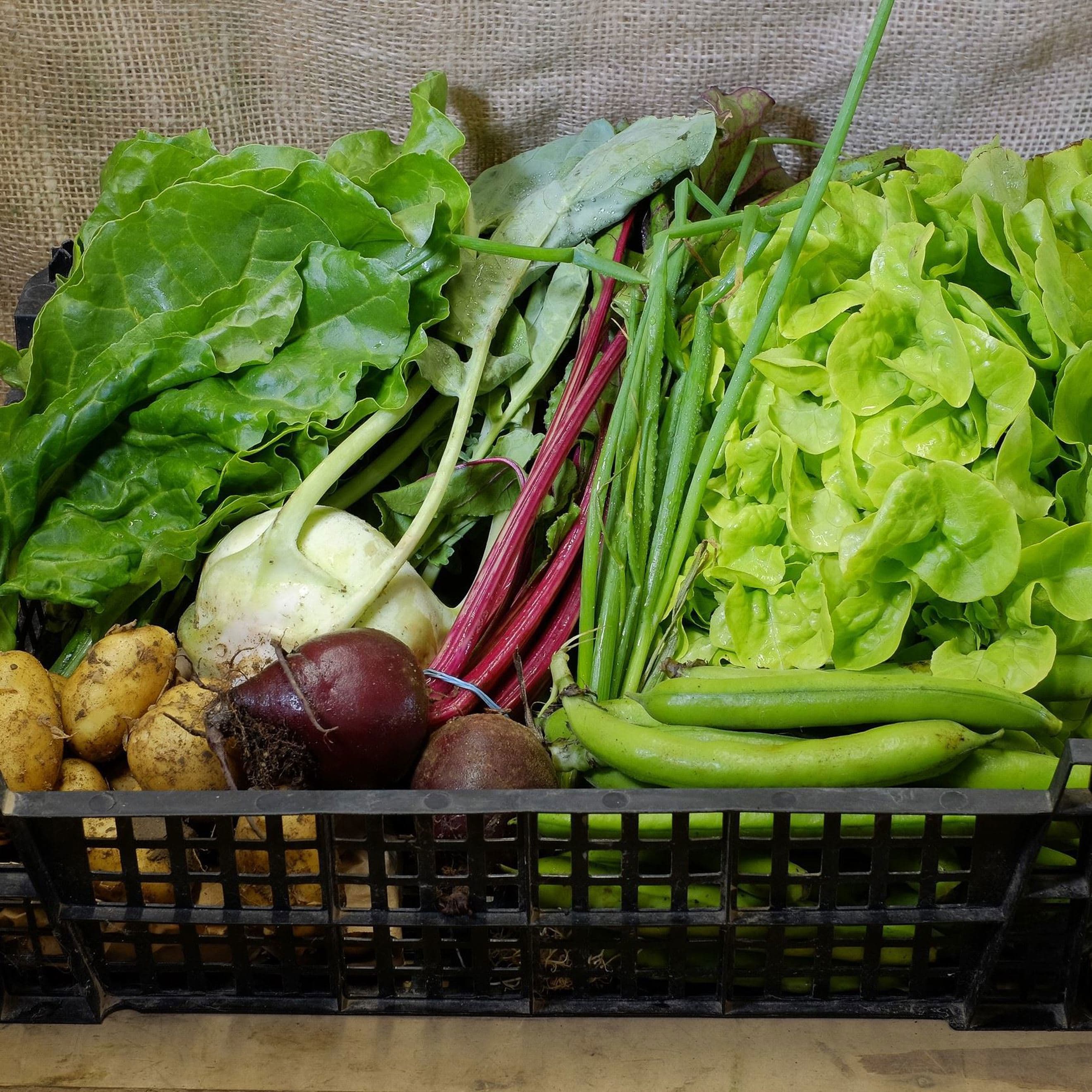 £13.25 Vegetable Box